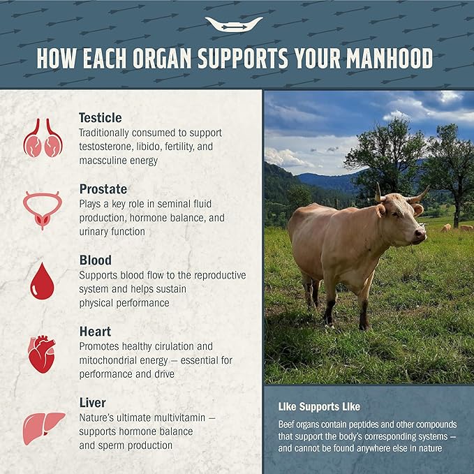 100% Grass Fed Beef Testicle with Prostate Blood Liver &amp Heart - Beef Organ Supplement for Men - 3000mg / 30 Servings