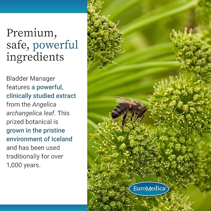 EuroMedica Bladder Manager - Bladder Support Supplement - Dietary Supplement with Angelica Leaf Extract - Vegan Capsules to Aid Urinary Tract Function &amp Health - 30 Capsules
