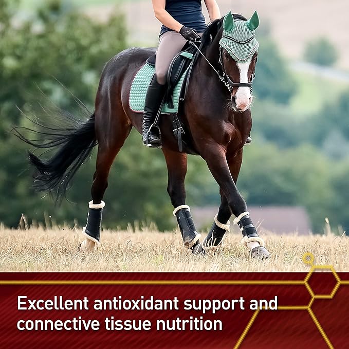 Vita Flex Pro Pure C Premium Quality Horse Vitamin C 2 Pounds 128-Day Supply