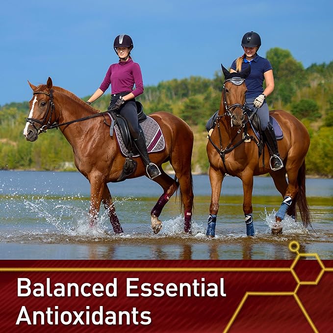 Vita Flex Pro E &amp Selenium Supplement Vitamin E and Selenium Powder for Horses Balanced Antioxidants Equine Vitamin E Supplement Horse Vitamins and Minerals 4 lb 64-Day Supply
