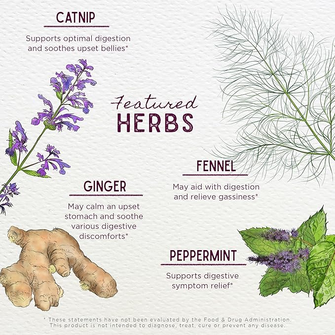 WishGarden Herbs Digestive Rescue Organic Herbal Tincture Ginger Fennel Peppermint Soothes Bloating Gas Nausea Stomach Relief Liquid Drops 2 oz
