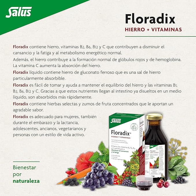 Flora Floradix Iron + Herbs Natural Liquid Iron Supplement 17 fl Ounce (500 ML)