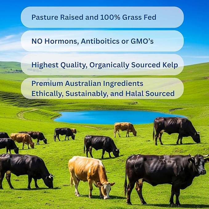GRASSLAND NUTRITION Grass Fed Beef Liver with Wild Harvested Kelp 100% Organically/Halal Sourced 2-in-1 Energy Formula — Natural B12 Iodine Iron &amp Vitamin A (180 Capsules)