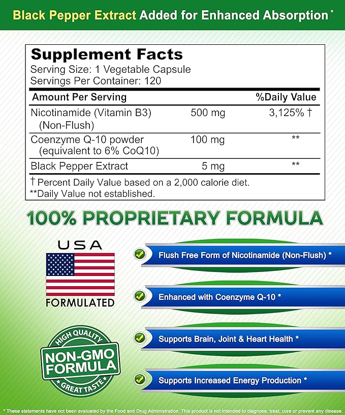 Nicotinamide with CoQ10 (120 Capsules) - Vitamin B3 500mg (Niacinamide Flush Free) - Coenzyme Q10 Powder - VIT B-3 &amp Coq 10 Supplement Pills to Support Energy NAD &amp Skin Cell Health