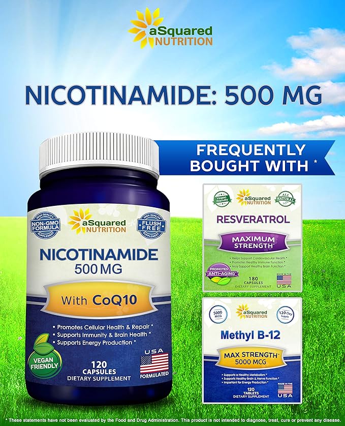 Nicotinamide with CoQ10 (120 Capsules) - Vitamin B3 500mg (Niacinamide Flush Free) - Coenzyme Q10 Powder - VIT B-3 &amp Coq 10 Supplement Pills to Support Energy NAD &amp Skin Cell Health
