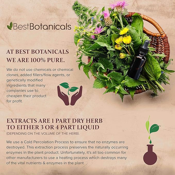 Best Botanicals Turkey Rhubarb Root Cut 16 oz. (Organic)