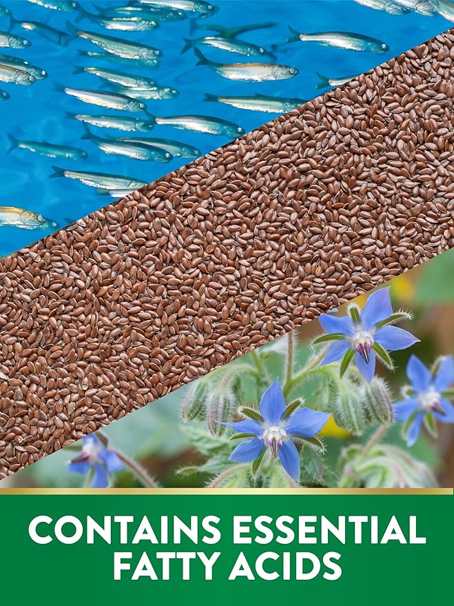 Nature's Truth Triple Omega 3 6 9 | 3600mg | 200 Softgels | Fish Flax and Borage Oils | Non-GMO &amp Gluten Free Supplement