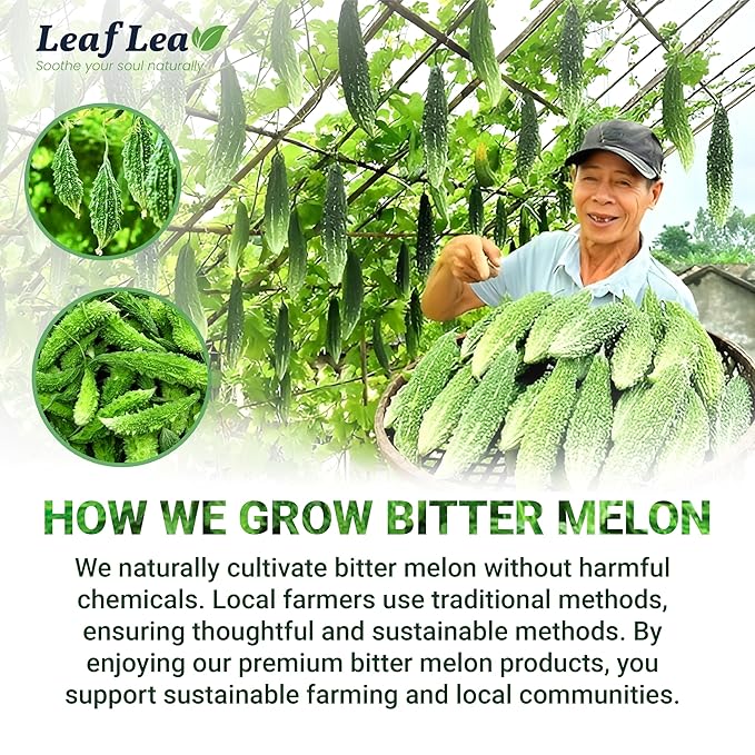 LeafLea 80 Bitter Melon Tea Bags Premium Dried Momordica Charantia (Melon Amargo Gohyah) Herbal Fruit Tea | Supports Wellness and Digestion | Caffeine-Free Sugar-Free Vegan Pack of 2