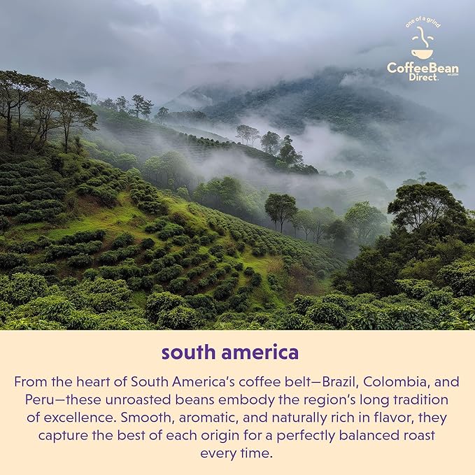 Coffee Bean Direct Unroasted CO2 Decaf Brazilian Santos 5 Pound (Pack of 1)