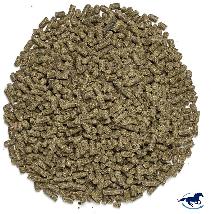 Smart &amp Simple MSM Pellets | Helps Manage Effects of Stress | Horse Supplement Aids in Cellular and Tissue Strengthening | 56 Servings | 2.4 lb Bucket