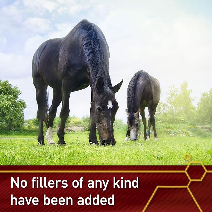 Vita Flex Pro Pure C Premium Quality Horse Vitamin C 2 Pounds 128-Day Supply