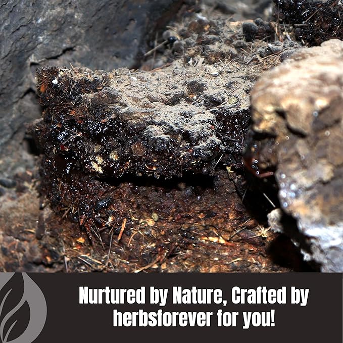 Herbsforever Shilajit Powder Mineral Pitch Antioxidant General Wellness Concentrated Extract 6:1 8.11 oz 230 GMS