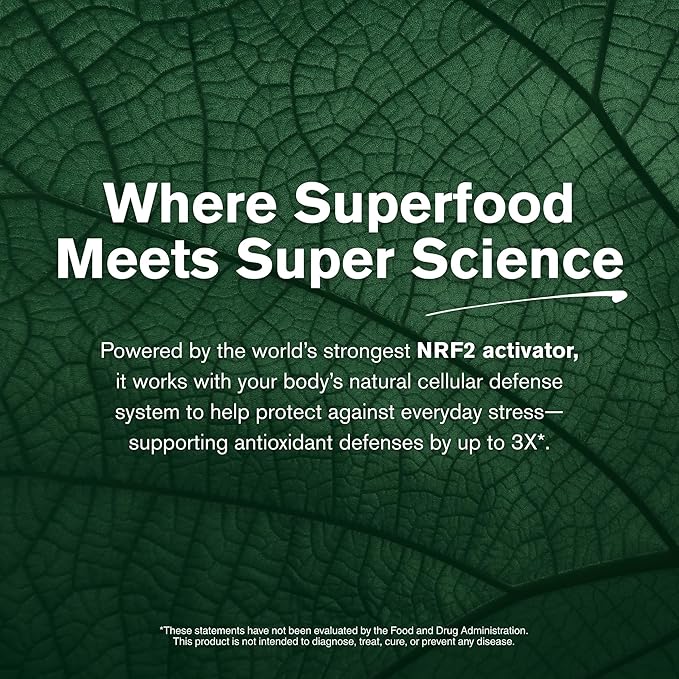 Immunocal Booster – Superfood Antioxidant Blend with 50+ Fruits &amp Vegetables – Supports Immune Health Cellular Defense &amp Daily Wellness (Nrf2) – Sugar-Free Gluten-Free – 30 Servings