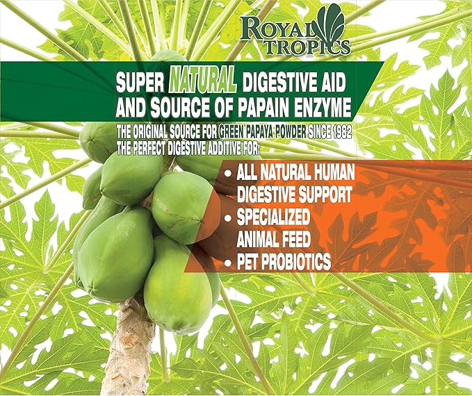 Royal Tropics Green Papaya Powder. Enzymes for Digestive Support.