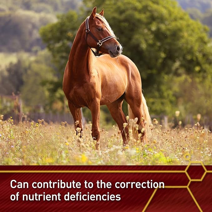 Vita Flex Pro E &amp Selenium Supplement Vitamin E and Selenium Powder for Horses Balanced Antioxidants Equine Vitamin E Supplement Horse Vitamins and Minerals 4 lb 64-Day Supply