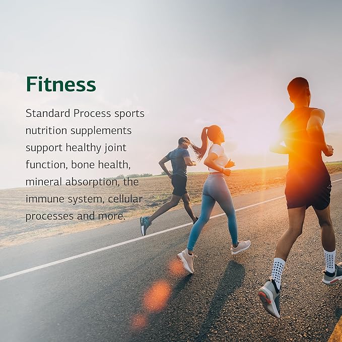 Standard Process Cataplex E2 - Vitamin E &amp Selenium Supplement for Cardiovascular &amp Cellular Health - Antioxidant Support for Heart Health - Non-Dairy &amp Non-Soy - 90 Tablets