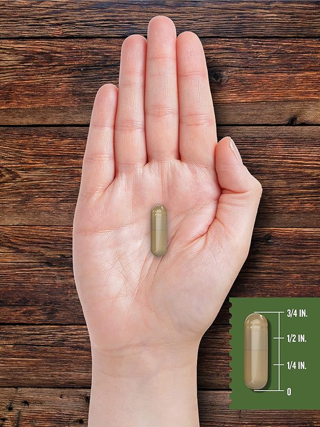 Carlyle Grass Fed Beef Kidney Supplement | 200 Capsules | 3000mg | Pasture Raised Desiccated Bovine Supplement | Hormone and Pesticide Free | Non-GMO Gluten Free | by Herbage Farmstead