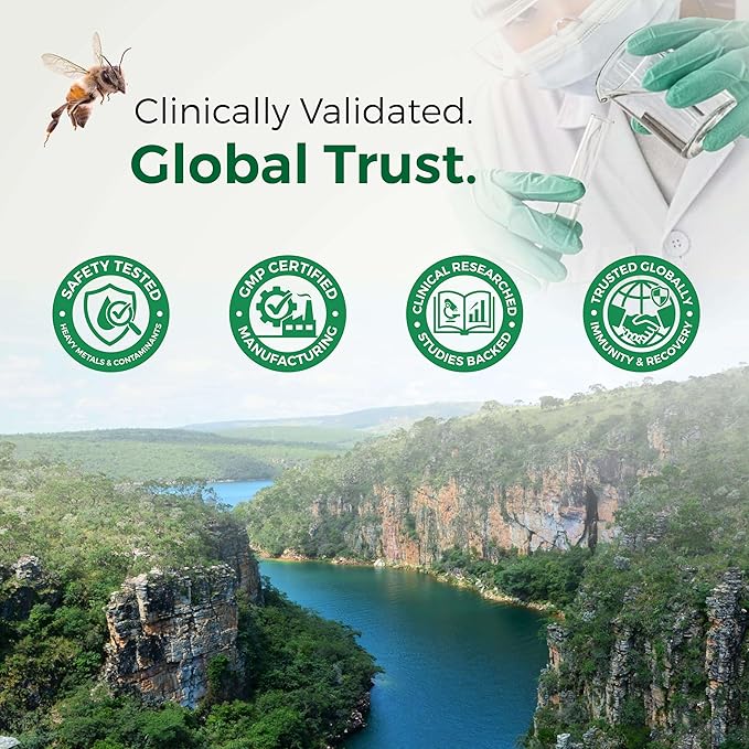 LABO Nutrition Brazilian Green Propolis Ultimate – Propolis Extract with 28mg Artepillin C and 5% Flavonoids Natural Bee Supplement for Immune Brain Support High Concentrate Propolis 60 Veg Capsx3