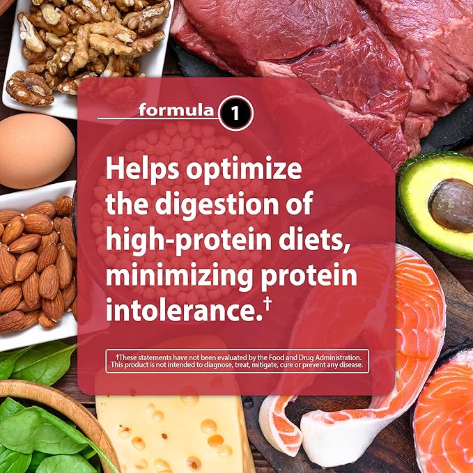 Ness® Protein Digest | Multi-Enzyme Supplement | Supports Protein &amp Nutrient Digestion | Protease Amylase Lipase &amp Cellulase | 180 Vegetarian Capsules