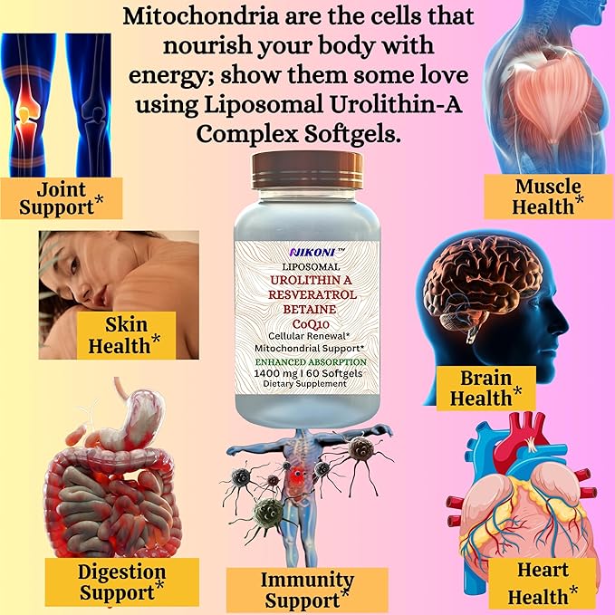 Nikoni Liposomal Urolithin-A Supplement 1400mg Supports Healthy Aging Cellular Renewal &amp Muscle Health- 60 Softgels