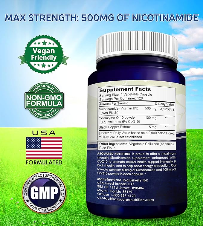 Nicotinamide with CoQ10 (120 Capsules) - Vitamin B3 500mg (Niacinamide Flush Free) - Coenzyme Q10 Powder - VIT B-3 &amp Coq 10 Supplement Pills to Support Energy NAD &amp Skin Cell Health