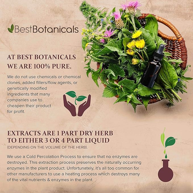 Best Botanicals Bladderwrack Herb Powder 8 oz. (Organic)