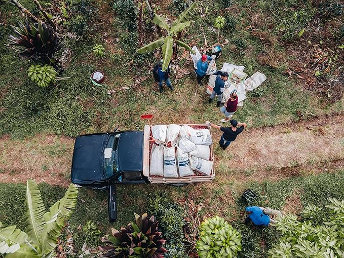 Costa Rican Coffee Finca Las Mercedes Tarrazu Whole Bean Medium Roast Washed Process Fresh Roasted 16-ounce