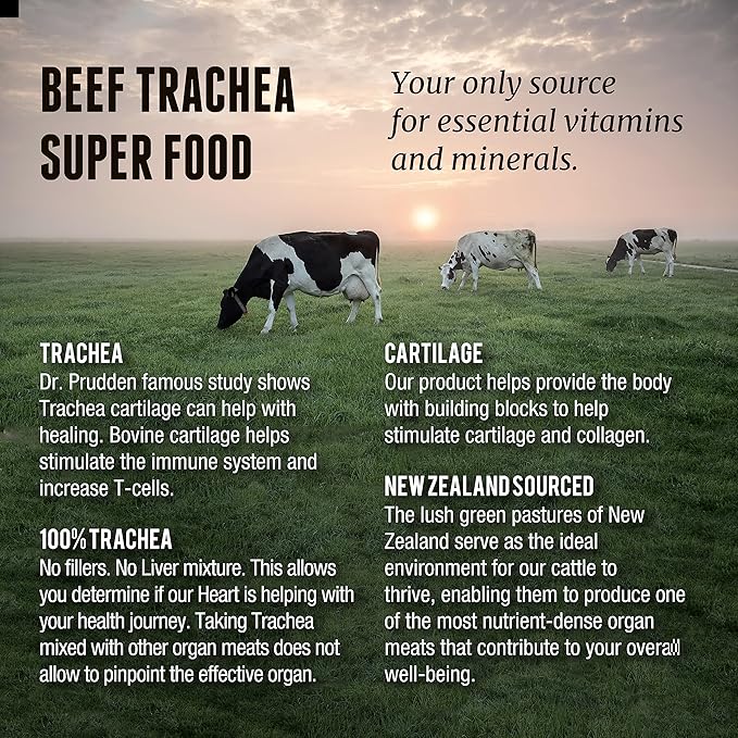 Grass Fed Beef Trachea - New Zealand Sourced Trachea. 3000mg per Serving 200 Count